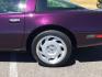 1992 BLACK ROSE METALLIC /Light Gray Leather Chevrolet Corvette LT1 2DR (1G1YY23P7N5) with an 5.7LT1 V8 engine, 6-Speed Manual transmission, located at 1801 Main Street, Lewiston, 83501, (208) 743-9371, 46.417065, -117.004799 - Photo#9