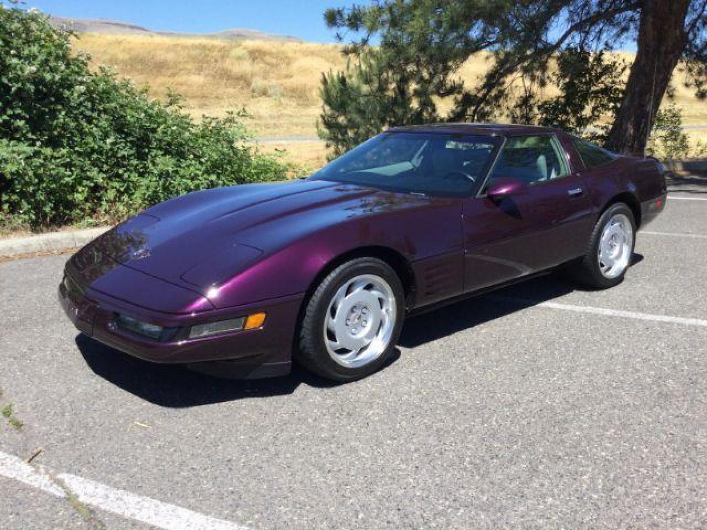 1992 BLACK ROSE METALLIC /Light Gray Leather Chevrolet Corvette LT1 2DR (1G1YY23P7N5) with an 5.7LT1 V8 engine, 6-Speed Manual transmission, located at 1801 Main Street, Lewiston, 83501, (208) 743-9371, 46.417065, -117.004799 - Photo#15