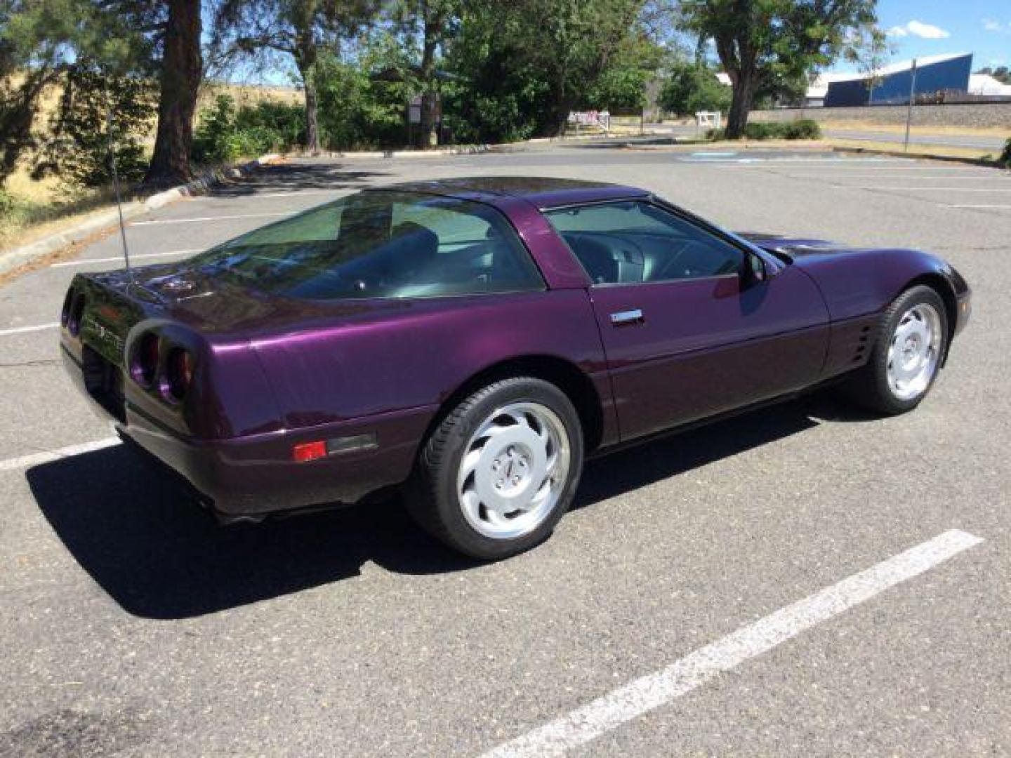 1992 BLACK ROSE METALLIC /Light Gray Leather Chevrolet Corvette LT1 2DR (1G1YY23P7N5) with an 5.7LT1 V8 engine, 6-Speed Manual transmission, located at 1801 Main Street, Lewiston, 83501, (208) 743-9371, 46.417065, -117.004799 - Photo#17