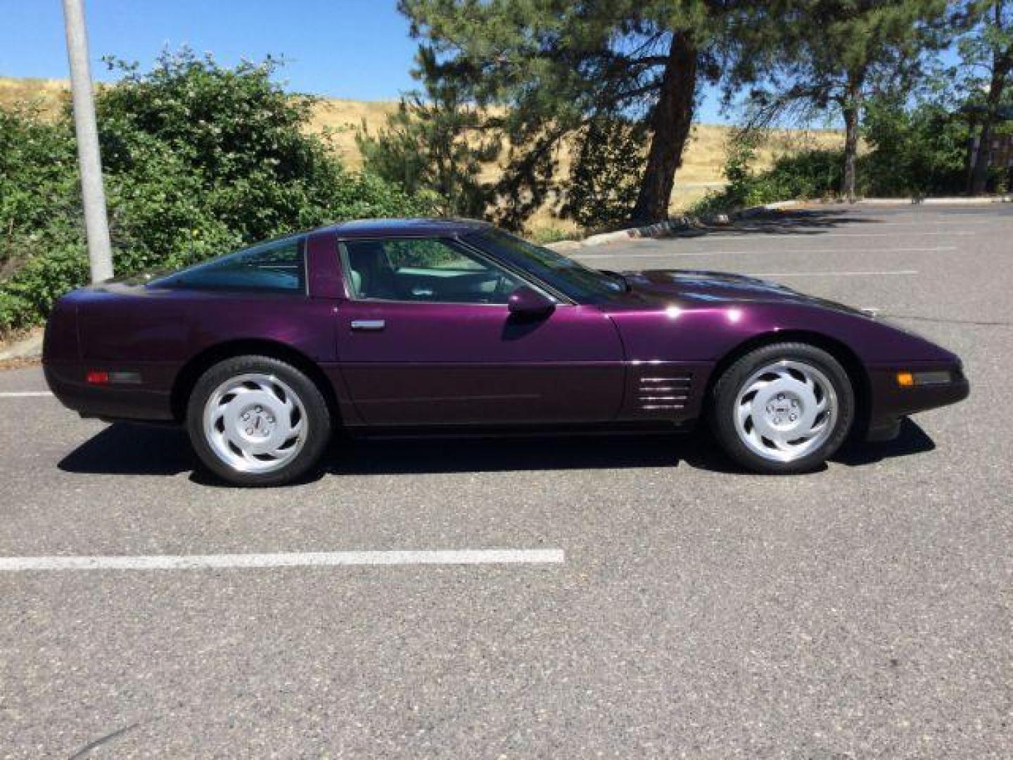 1992 BLACK ROSE METALLIC /Light Gray Leather Chevrolet Corvette LT1 2DR (1G1YY23P7N5) with an 5.7LT1 V8 engine, 6-Speed Manual transmission, located at 1801 Main Street, Lewiston, 83501, (208) 743-9371, 46.417065, -117.004799 - Photo#18