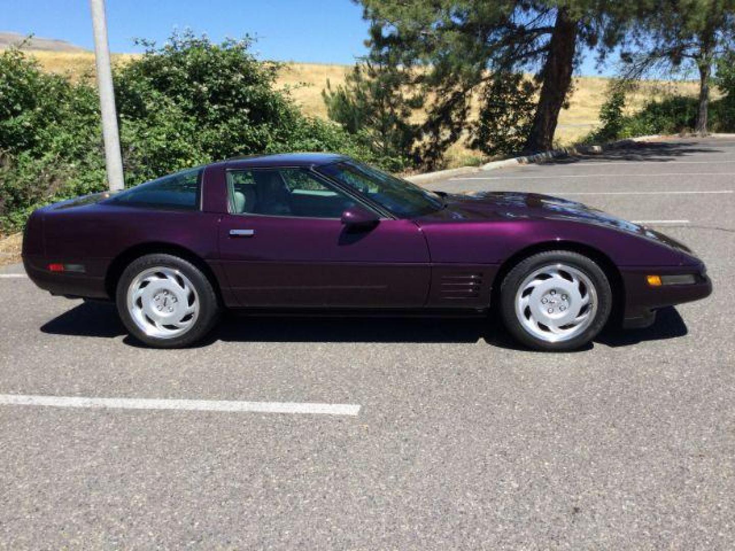 1992 BLACK ROSE METALLIC /Light Gray Leather Chevrolet Corvette LT1 2DR (1G1YY23P7N5) with an 5.7LT1 V8 engine, 6-Speed Manual transmission, located at 1801 Main Street, Lewiston, 83501, (208) 743-9371, 46.417065, -117.004799 - Photo#19