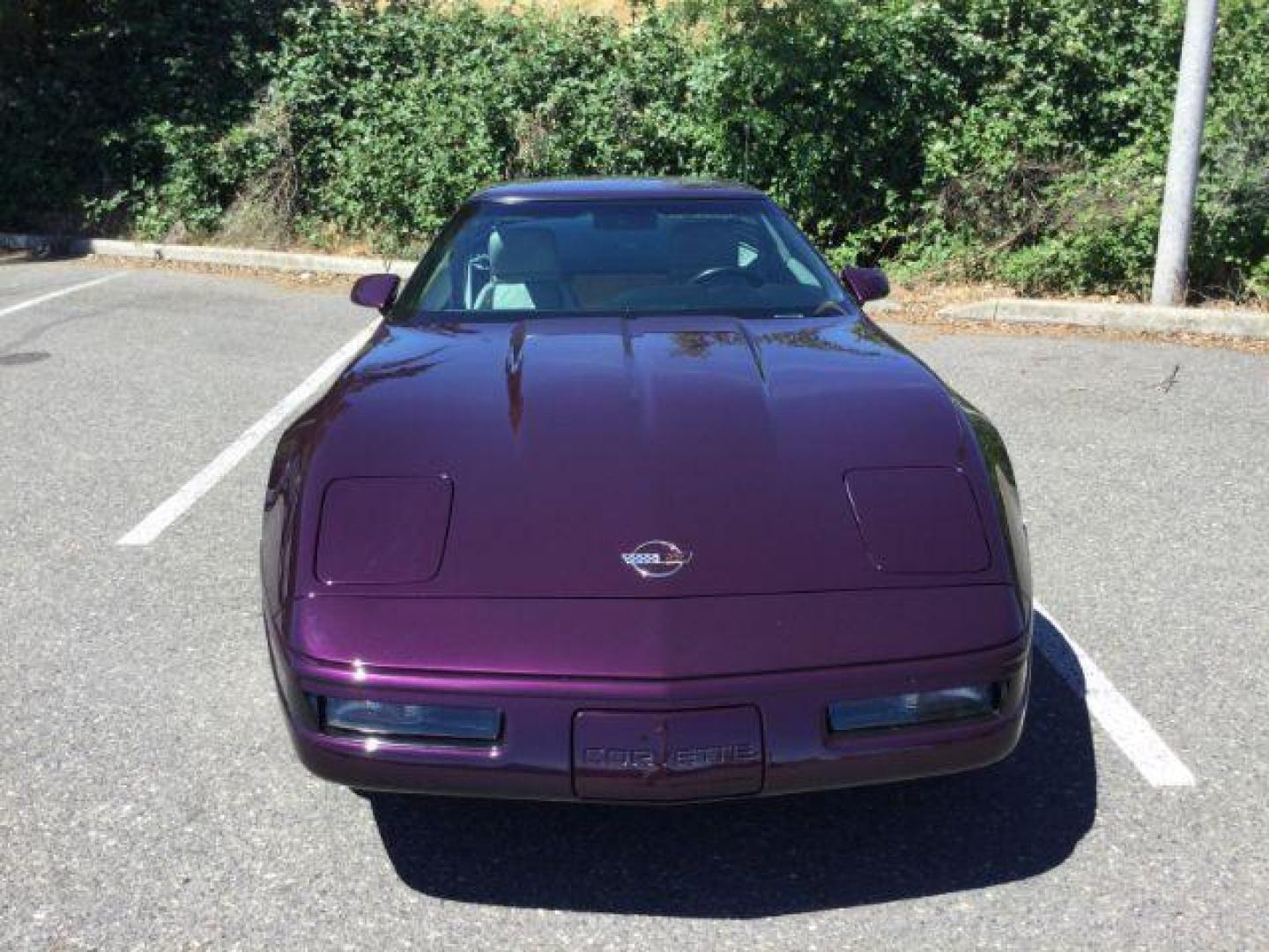 1992 BLACK ROSE METALLIC /Light Gray Leather Chevrolet Corvette LT1 2DR (1G1YY23P7N5) with an 5.7LT1 V8 engine, 6-Speed Manual transmission, located at 1801 Main Street, Lewiston, 83501, (208) 743-9371, 46.417065, -117.004799 - Photo#20
