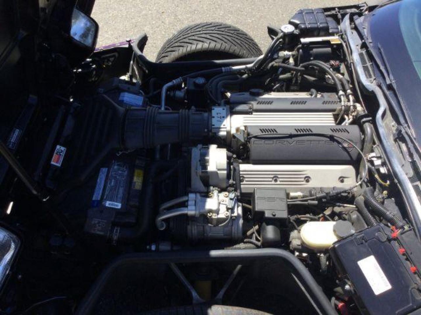 1992 BLACK ROSE METALLIC /Light Gray Leather Chevrolet Corvette LT1 2DR (1G1YY23P7N5) with an 5.7LT1 V8 engine, 6-Speed Manual transmission, located at 1801 Main Street, Lewiston, 83501, (208) 743-9371, 46.417065, -117.004799 - Photo#21