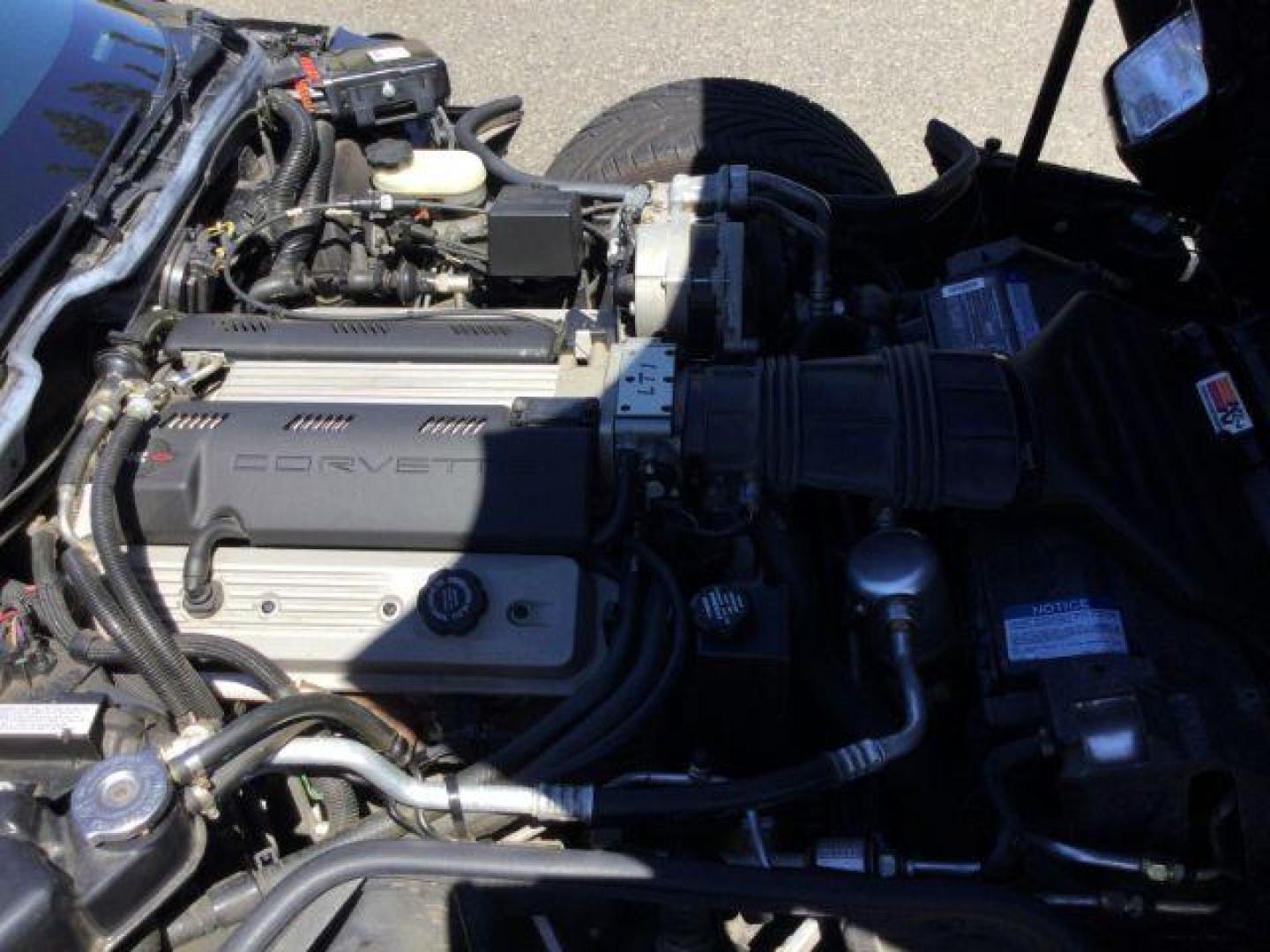 1992 BLACK ROSE METALLIC /Light Gray Leather Chevrolet Corvette LT1 2DR (1G1YY23P7N5) with an 5.7LT1 V8 engine, 6-Speed Manual transmission, located at 1801 Main Street, Lewiston, 83501, (208) 743-9371, 46.417065, -117.004799 - Photo#22