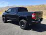 2015 Attitude Black Metallic /Black Leather Toyota Tundra Platinum 5.7L V8 (5TFAY5F12FX) with an I-FORCE 5.7L V-8 DOHC engine, 6-Speed Automatic transmission, located at 1801 Main Street, Lewiston, 83501, (208) 743-9371, 46.417065, -117.004799- Photo#8