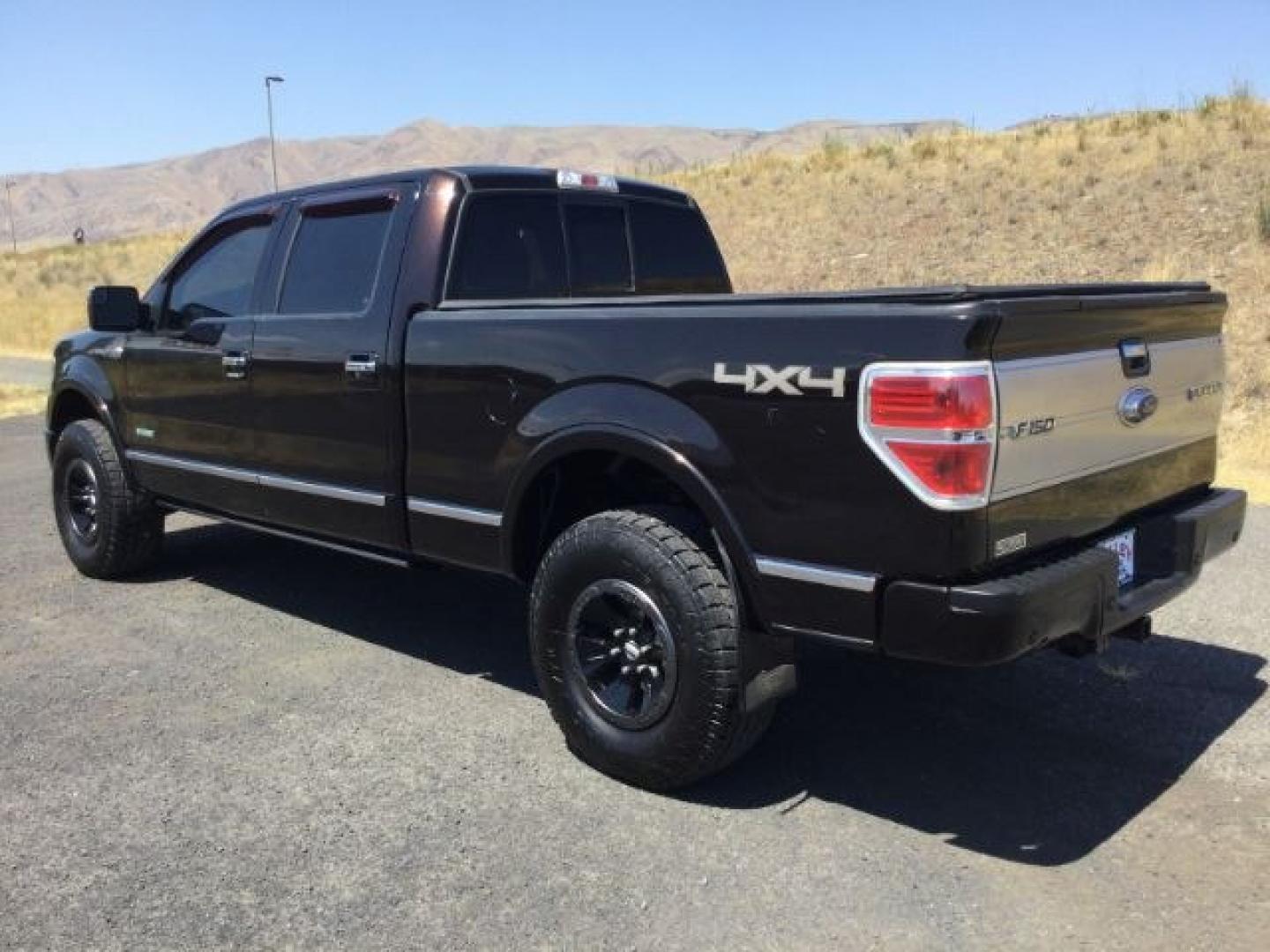 2014 Kodiak Brown Metallic /Black Ford F-150 Supercrew Platinum (1FTFW1ETXEF) with an EcoBoost 3.5L V-6 gasoline direct injection engine, 6-Speed Automatic transmission, located at 1801 Main Street, Lewiston, 83501, (208) 743-9371, 46.417065, -117.004799- Photo#8
