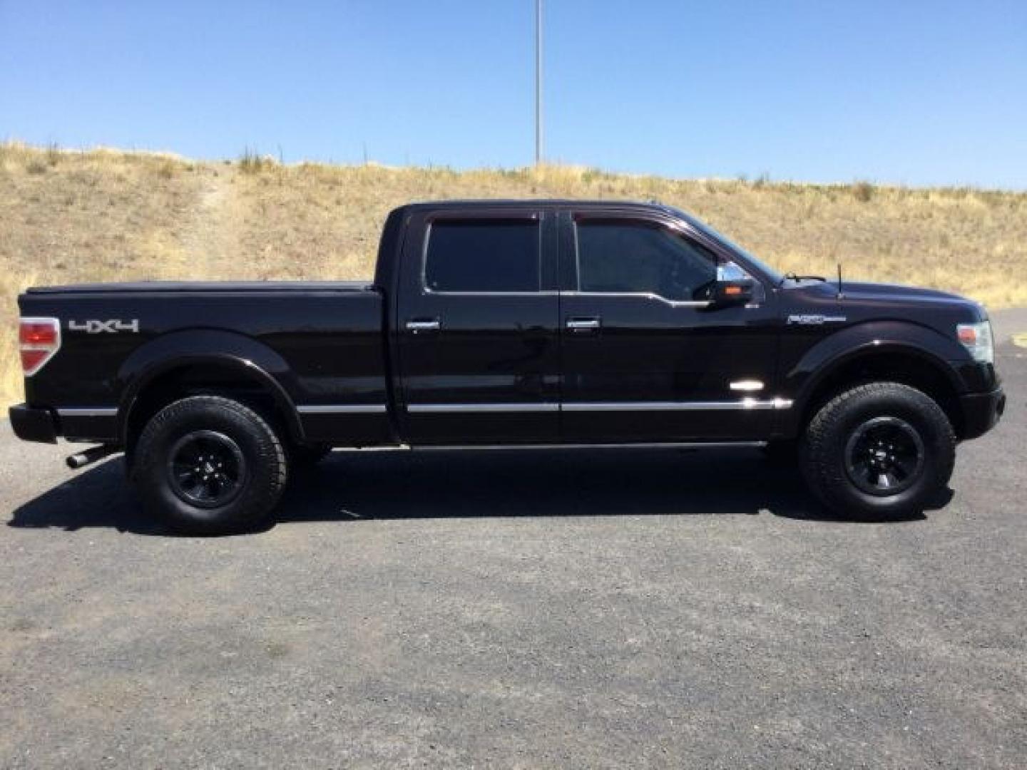 2014 Kodiak Brown Metallic /Black Ford F-150 Supercrew Platinum (1FTFW1ETXEF) with an EcoBoost 3.5L V-6 gasoline direct injection engine, 6-Speed Automatic transmission, located at 1801 Main Street, Lewiston, 83501, (208) 743-9371, 46.417065, -117.004799- Photo#20