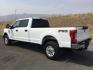 2019 Oxford White /Medium Earth Gray Ford F-350 XLT (1FT8W3BT7KE) with an Powerstroke 6.7L V-8 diesel direct injection engine, 6-Speed Automatic transmission, located at 1801 Main Street, Lewiston, 83501, (208) 743-9371, 46.417065, -117.004799- Photo#9