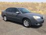 2007 Dark Gray Metallic /Ebony Chevrolet Malibu LT w/1LT (1G1ZT58F37F) with an Ecotec 2.2L I-4 DOHC engine, 4 Speed Automatic transmission, located at 1801 Main Street, Lewiston, 83501, (208) 743-9371, 46.417065, -117.004799- Photo#7