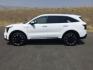 2025 Glacial White Pearl /Black Kia Sorento EX (5XYRHDJF8SG) with an 2.5L I-4 port/direct injection engine, Automatic, 8-Spd Dual-Clutch transmission, located at 1801 Main Street, Lewiston, 83501, (208) 743-9371, 46.417065, -117.004799- Photo#7
