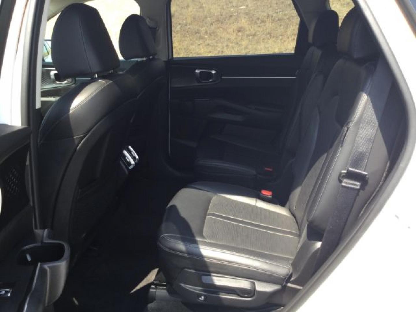 2025 Glacial White Pearl /Black Kia Sorento EX (5XYRHDJF8SG) with an 2.5L I-4 port/direct injection engine, Automatic, 8-Spd Dual-Clutch transmission, located at 1801 Main Street, Lewiston, 83501, (208) 743-9371, 46.417065, -117.004799- Photo#13