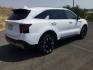 2025 Glacial White Pearl /Black Kia Sorento EX (5XYRHDJF8SG) with an 2.5L I-4 port/direct injection engine, Automatic, 8-Spd Dual-Clutch transmission, located at 1801 Main Street, Lewiston, 83501, (208) 743-9371, 46.417065, -117.004799- Photo#19