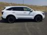 2025 Glacial White Pearl /Black Kia Sorento EX (5XYRHDJF8SG) with an 2.5L I-4 port/direct injection engine, Automatic, 8-Spd Dual-Clutch transmission, located at 1801 Main Street, Lewiston, 83501, (208) 743-9371, 46.417065, -117.004799- Photo#20