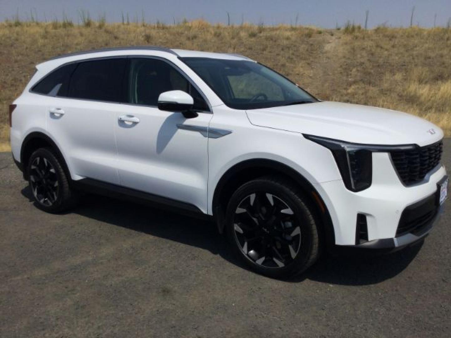2025 Glacial White Pearl /Black Kia Sorento EX (5XYRHDJF8SG) with an 2.5L I-4 port/direct injection engine, Automatic, 8-Spd Dual-Clutch transmission, located at 1801 Main Street, Lewiston, 83501, (208) 743-9371, 46.417065, -117.004799- Photo#24