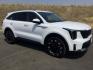 2025 Glacial White Pearl /Black Kia Sorento EX (5XYRHDJF8SG) with an 2.5L I-4 port/direct injection engine, Automatic, 8-Spd Dual-Clutch transmission, located at 1801 Main Street, Lewiston, 83501, (208) 743-9371, 46.417065, -117.004799- Photo#24