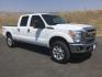 2015 Oxford White /Light Gray Leather Ford F-250 Crew Cab XLT 4x4 FX4 (1FT7W2B69FE) with an 6.2L V8 engine, 6-Speed Automatic transmission, located at 1801 Main Street, Lewiston, 83501, (208) 743-9371, 46.417065, -117.004799- Photo#0