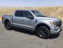 2022 Iconic Silver Metallic /Black w/Medium Dark Slate Ford F-150 XLT (1FTFW1E53NK) with an 5L V-8 port/direct injection engine, 10 speed automatic transmission, located at 1801 Main Street, Lewiston, 83501, (208) 743-9371, 46.417065, -117.004799- Photo#1