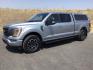 2023 Iconic Silver Metallic Ford F-150 XLT (1FTFW1E86PK) , located at 1801 Main Street, Lewiston, 83501, (208) 743-9371, 46.417065, -117.004799- Photo#1