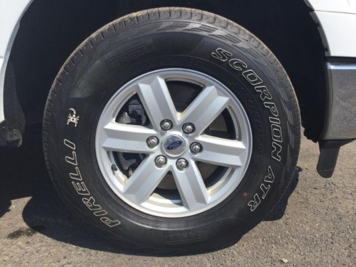 2021 Oxford White /Black/Medium Dark Slate Ford F-150 XLT (1FTFW1E86MF) with an EcoBoost 3.5L V-6 port/direct injection engine, 10 speed automatic transmission, located at 1801 Main Street, Lewiston, 83501, (208) 743-9371, 46.417065, -117.004799- Photo#19