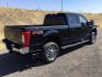 2017 Shadow Black /Black Ford F-350 LARIAT (1FT8W3BT1HE) with an Powerstroke 6.7L V-8 diesel direct injection engine, 6-Speed Automatic transmission, located at 1801 Main Street, Lewiston, 83501, (208) 743-9371, 46.417065, -117.004799- Photo#12