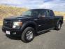 2013 Tuxedo Black Metallic /Black Ford F-150 FX4 (1FTFW1ET7DF) with an EcoBoost 3.5L V-6 gasoline direct injection engine, 6-Speed Automatic transmission, located at 1801 Main Street, Lewiston, 83501, (208) 743-9371, 46.417065, -117.004799- Photo#1