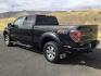 2013 Tuxedo Black Metallic /Black Ford F-150 FX4 (1FTFW1ET7DF) with an EcoBoost 3.5L V-6 gasoline direct injection engine, 6-Speed Automatic transmission, located at 1801 Main Street, Lewiston, 83501, (208) 743-9371, 46.417065, -117.004799- Photo#8