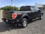2013 Tuxedo Black Metallic /Black Ford F-150 FX4 (1FTFW1ET7DF) with an EcoBoost 3.5L V-6 gasoline direct injection engine, 6-Speed Automatic transmission, located at 1801 Main Street, Lewiston, 83501, (208) 743-9371, 46.417065, -117.004799- Photo#16