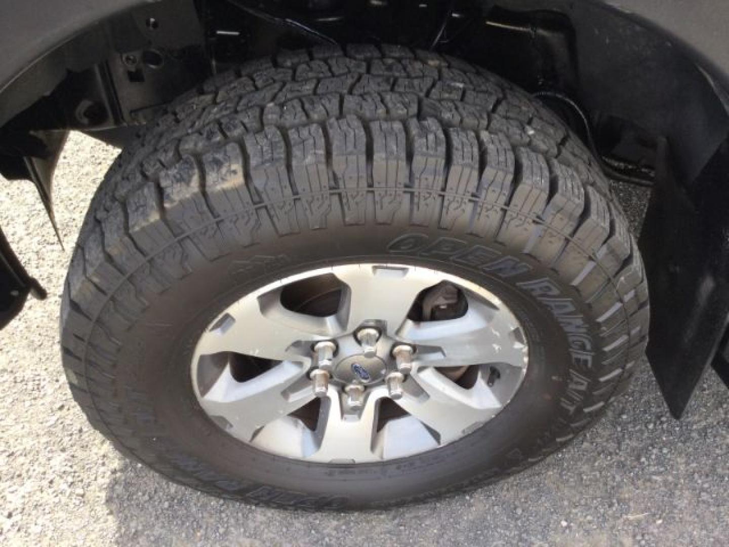 2013 Tuxedo Black Metallic /Black Ford F-150 FX4 (1FTFW1ET7DF) with an EcoBoost 3.5L V-6 gasoline direct injection engine, 6-Speed Automatic transmission, located at 1801 Main Street, Lewiston, 83501, (208) 743-9371, 46.417065, -117.004799- Photo#18