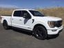 2021 Oxford White /Black/Medium Dark Slate Ford F-150 XLT/Sport (1FTFW1ED9MF) with an EcoBoost 3.5L V-6 port/direct injection engine, 10 speed automatic transmission, located at 1801 Main Street, Lewiston, 83501, (208) 743-9371, 46.417065, -117.004799- Photo#0