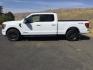 2021 Oxford White /Black/Medium Dark Slate Ford F-150 XLT/Sport (1FTFW1ED9MF) with an EcoBoost 3.5L V-6 port/direct injection engine, 10 speed automatic transmission, located at 1801 Main Street, Lewiston, 83501, (208) 743-9371, 46.417065, -117.004799- Photo#2