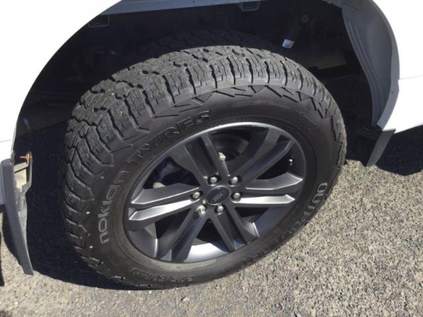 2021 Oxford White /Black/Medium Dark Slate Ford F-150 XLT/Sport (1FTFW1ED9MF) with an EcoBoost 3.5L V-6 port/direct injection engine, 10 speed automatic transmission, located at 1801 Main Street, Lewiston, 83501, (208) 743-9371, 46.417065, -117.004799- Photo#12