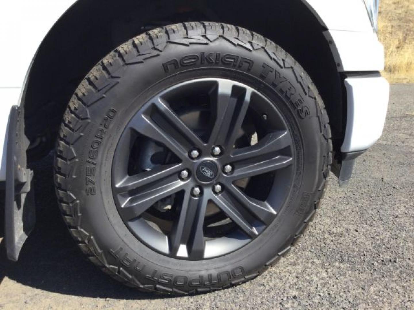 2021 Oxford White /Black/Medium Dark Slate Ford F-150 XLT/Sport (1FTFW1ED9MF) with an EcoBoost 3.5L V-6 port/direct injection engine, 10 speed automatic transmission, located at 1801 Main Street, Lewiston, 83501, (208) 743-9371, 46.417065, -117.004799- Photo#15