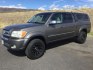 2005 Phantom Gray Pearl /Light Charcoal Toyota Tundra SR5 V8 (5TBDT44115S) with an I-FORCE 4.7L V-8 DOHC engine, 5-Speed Automatic transmission, located at 1801 Main Street, Lewiston, 83501, (208) 743-9371, 46.417065, -117.004799- Photo#0